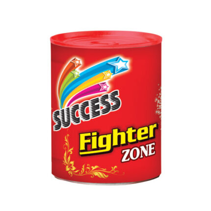 FIGHTER ZONE